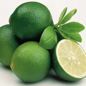 Lime Essential Oil - Key Lime Peru 1