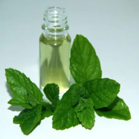 Mentha Piperata Peppermint Essential Oils 1