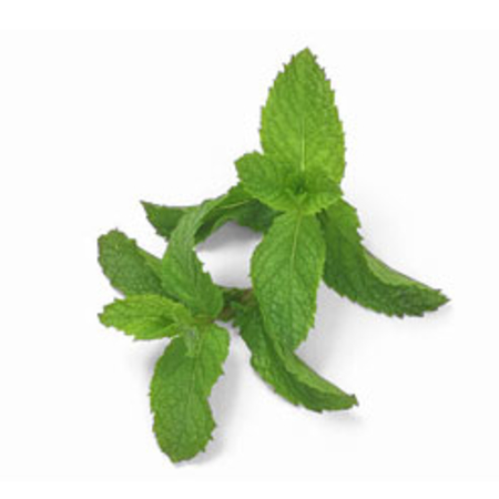 Menthone Natural Crude Peppermint Oils 95% & 98% 