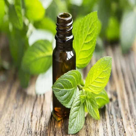 Peppermint Oil 95% 1