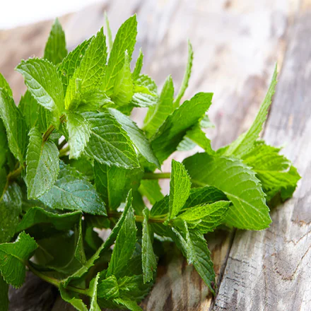 Peppermint 1