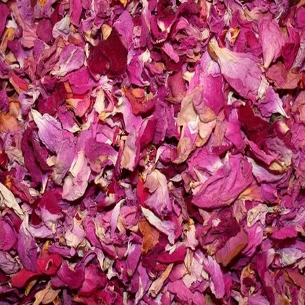 Rose Attar -Gulab 1