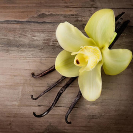 VANILLA OIL (V. Planifolia) at Rs 1200/kg