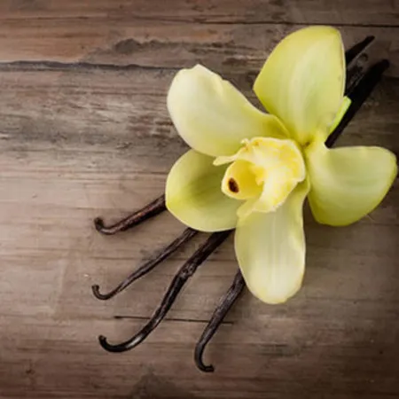 Vanilla Oil 1