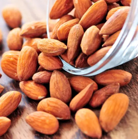 Almond Sweet Refined Carrier Oil (Spain)
