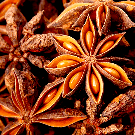 Anise Star Essential Oils