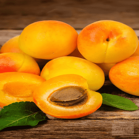 Apricot Kernel Carrier Oil