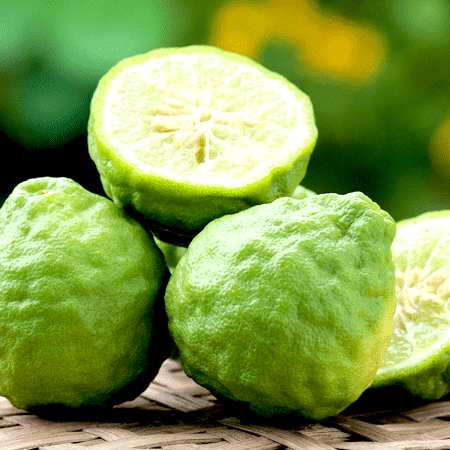 Bergamot Calabrian Essential Oil