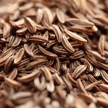Cumin Essential Oil