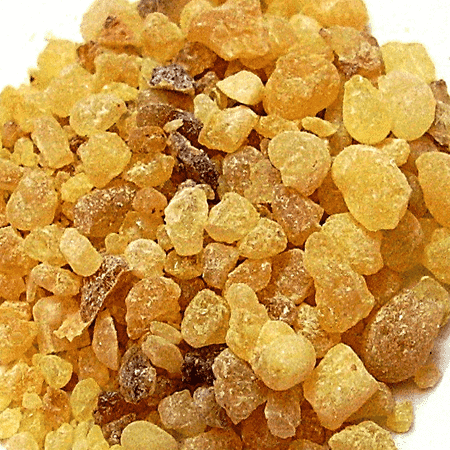 Frankincense Essential Oil India