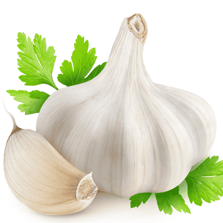 Garlic Essential Oil