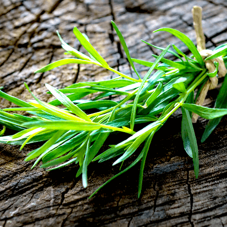 Tarragon Essential Oil