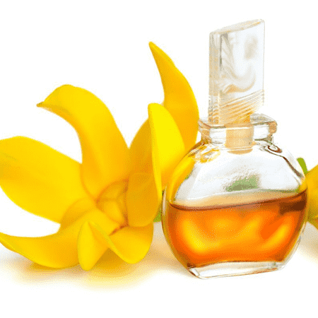 Ylang Ylang CO2 Extracts Essential Oil