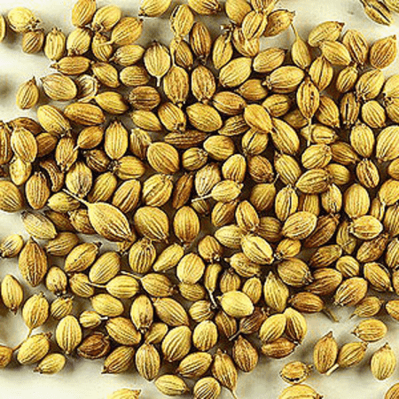 Coriander Seed Spice Oil 