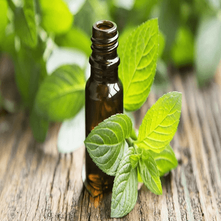 Peppermint Oil 95% 